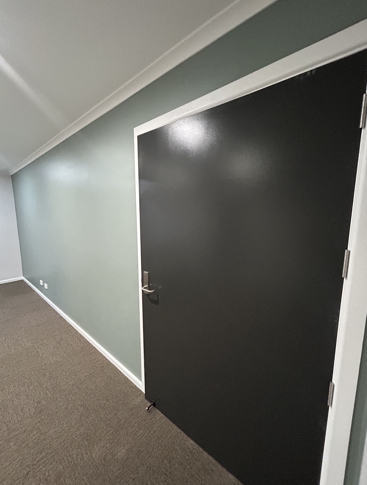 Sage green wall with matte black interior door and crisp white trims